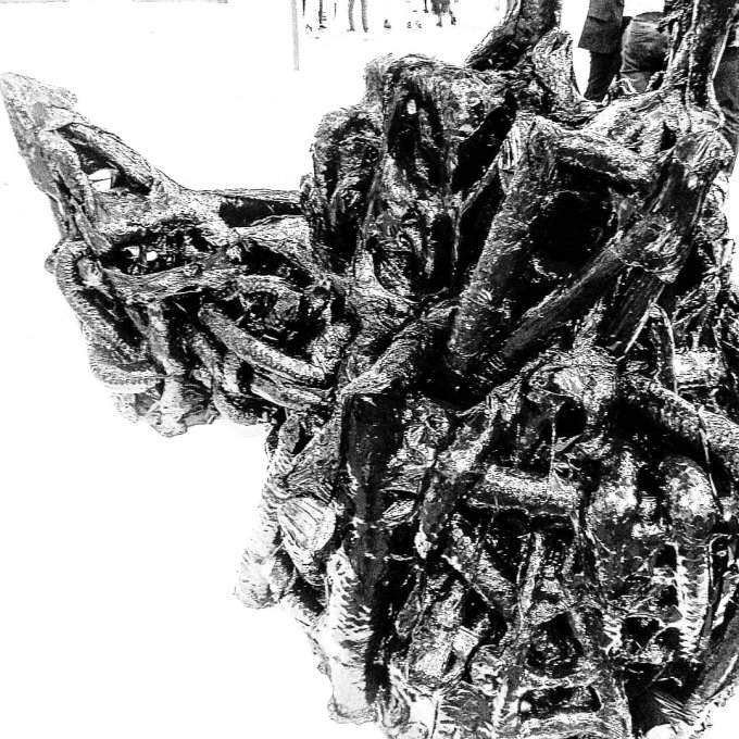 img_20180620_022733_2587846453232460825329